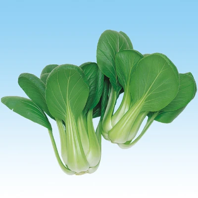 Pak Choi