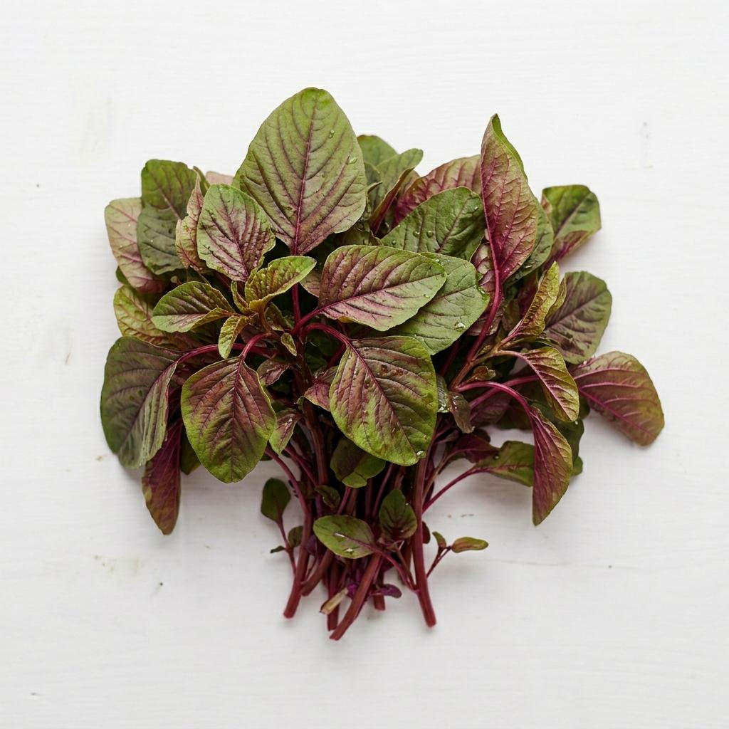 Red Spinach / 紅莧菜